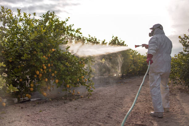 Best Flea Control Services  in Princeton, WI
