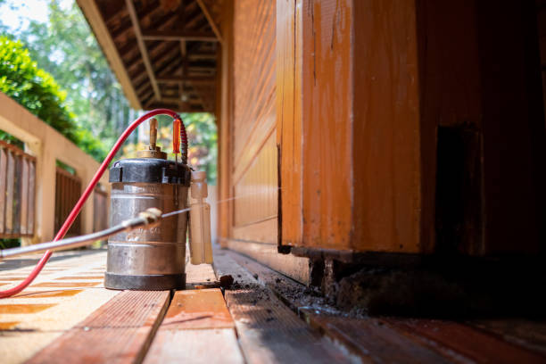 Best Local Pest Control Services  in Princeton, WI
