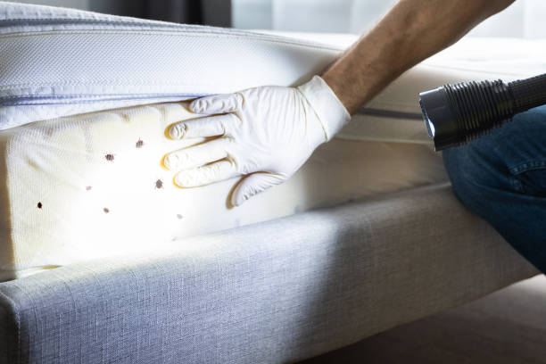 Best Affordable Pest Control Services  in Princeton, WI