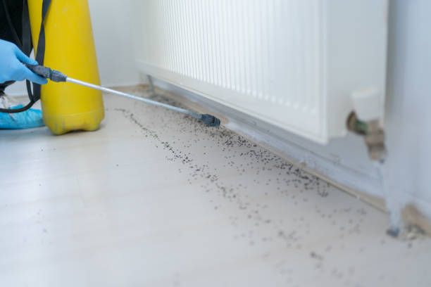 Best Best Pest Control Companies  in Princeton, WI