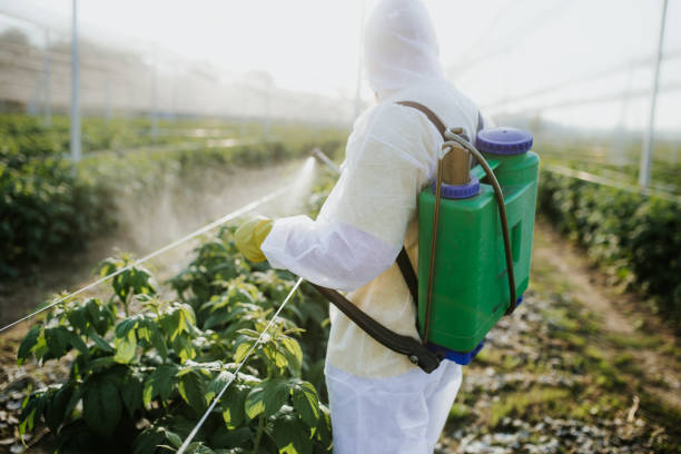 Best Exterminator Services  in Princeton, WI